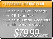 Upgraded Hosting Plan: Up to 2 GB of Storage, 45 GB Transfer, Up to 15 Email Accounts, Urchin Web Statistics for $59.99/Month
